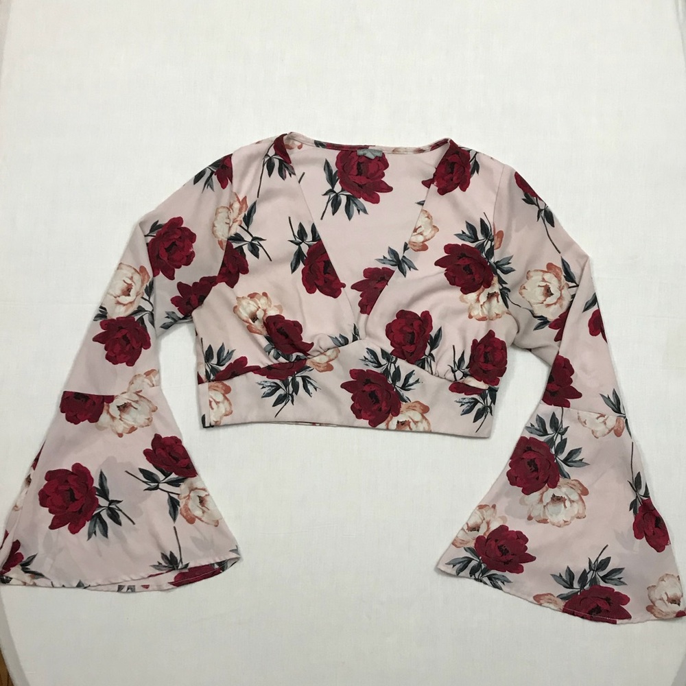 Charlotte russ crop top